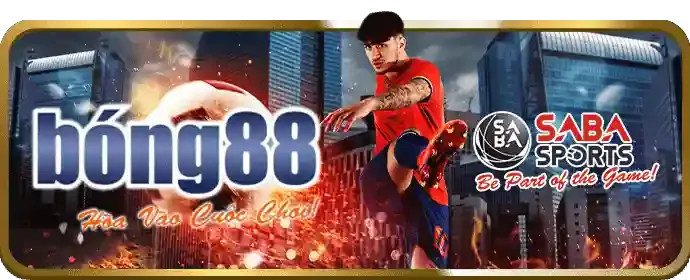 Tích lũy điểm và thăng cấp